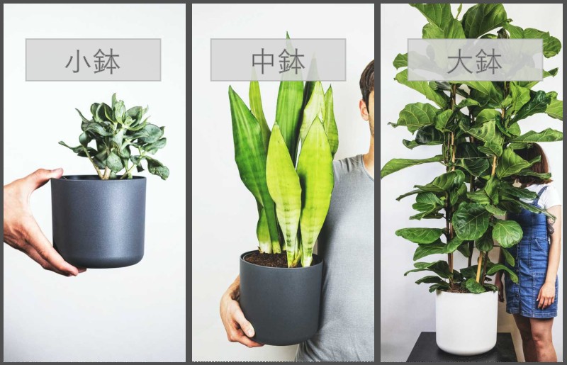 植木鉢サイズのイメージ